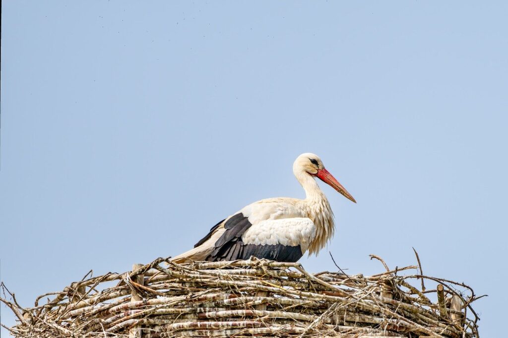 無理強いせずにコミュニケーションを円滑にする方法は？