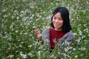 5歳向けの英語番組でおすすめはどれ？