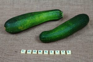 子ども英語の学習サービスは無理なく続くの？